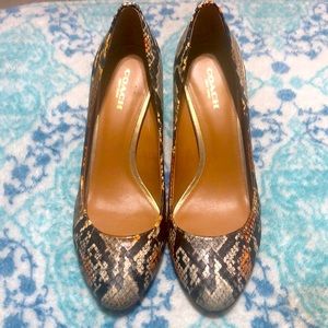 GORGEOUS 💕COACH SNAKE SKIN SHOES 7.5